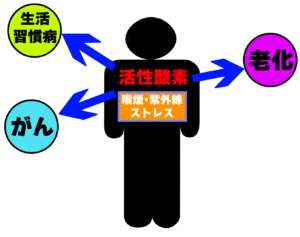 日野市(平山城址公園)の歯医者、SERAデンタルオフィス 平山城址公園駅前歯科で、コーヒーと歯周病の関係性を解説